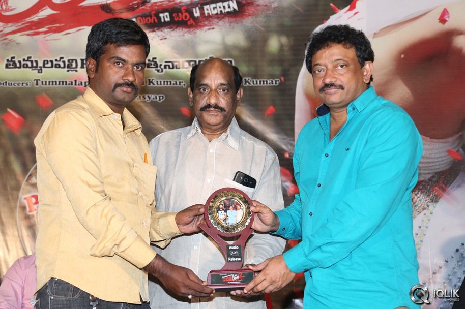 Ice-Cream-2-Movie-Platinum-Disc-Function